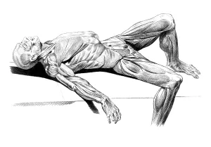 Jacques Prints: Jacques Gamelin, Nouveau d'osteologie, 1779