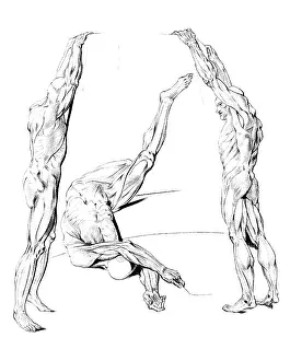 Jacques Prints: Jacques Gamelin, Nouveau d'osteologie, 1779