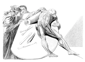 Jacques Prints: Jacques Gamelin, Nouveau d'osteologie, 1779
