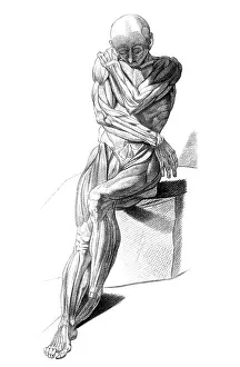 Jacques Prints: Jacques Gamelin, Nouveau d'osteologie, 1779