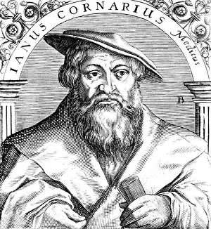 Grecian Prints: Janus Cornarius, German Philologist