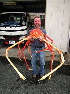 Largest Prints: Japanese Spider Crab (Macrocheira kaempferi)
