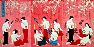 Medical Prints: Japanese Triptych, Development of Fetus