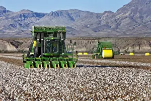 System Prints: John Deere Cotton Pickers Harvesting Machine on a Farm Crop