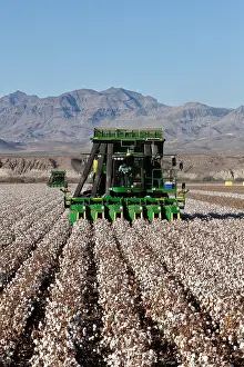 System Prints: John Deere Cotton Pickers Harvesting Machine on a Farm Crop