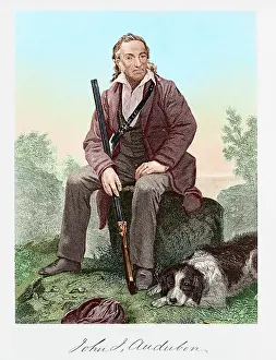 Guns Prints: John James Audubon
