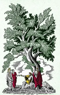 Apple Prints: Judgement of Paris