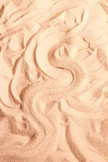 Snake Prints: Kenyan Sand Boa (E. Colubrinus) Hiding in Sand