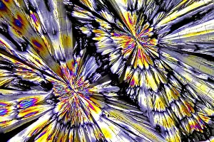 Pattern Prints: Ketamine crystals under a microscope