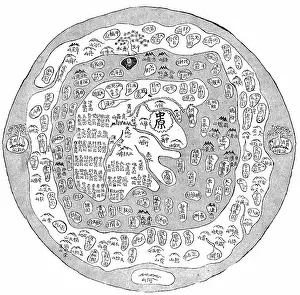 World Cultures Prints: Korean World Map