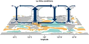 Oscillation Prints: La Nina, Walker Circulation Anomaly