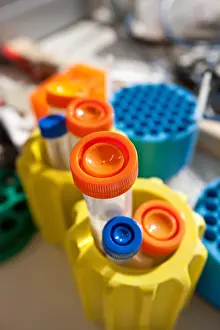 Artistic Prints: Laboratory Items