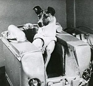 Travel Prints: Laika, First Dog in Space, 1957