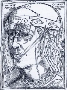 2011 Prints: Layers of the Brain