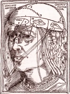 2011 Prints: Layers of the Brain
