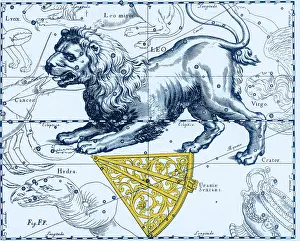 Cartography Prints: Leo Constellation, Zodiac Sign, Hevelius