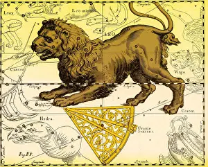Constellation Prints: Leo Constellation, Zodiac Sign, Hevelius