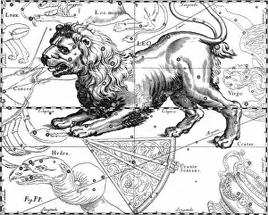 Celestial Prints: Leo Constellation, Zodiac Sign, Hevelius