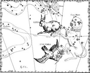 Asterism Prints: Lepus Constellation, Hevelius, 1687
