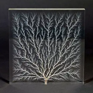 Accelerator Prints: Lichtenberg Figure, Electron Tree