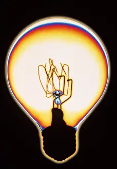 Electrical Prints: Light bulb