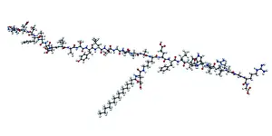 Medication Prints: Liraglutide