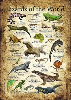 Monster Prints: Lizards of the World