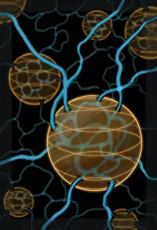 Concept Prints: Loop Quantum Gravity, Illustration