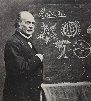 Glaciologist Prints: Louis Agassiz, Swiss-American Polymath
