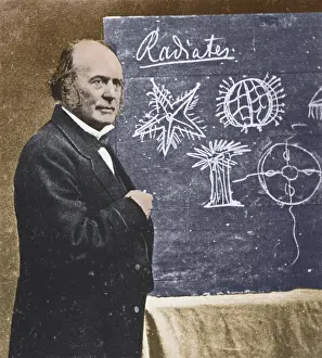 Naturalists Prints: Louis Agassiz, Swiss-American Polymath