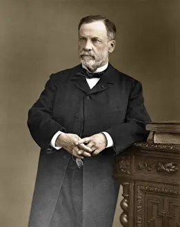 Microbiologists Prints: Louis Pasteur, French Chemist and Bacteriologist