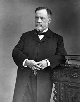 Microbiologists Prints: Louis Pasteur, French Chemist and Bacteriologist