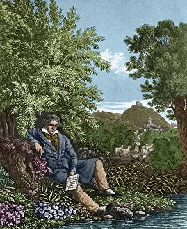 Pianist Prints: Ludwig van Beethoven, German Composer