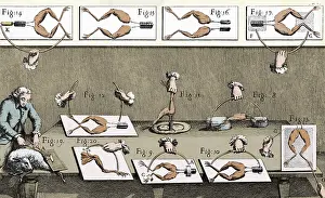 Static Prints: Luigi Galvani Experiments