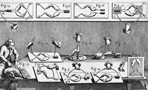 Luigi Galvani Experiments