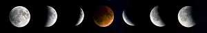 Night Prints: Lunar Eclipse