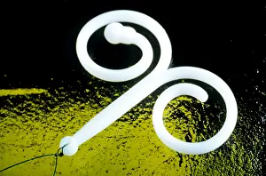 Reproductive Prints: Macrophoto of an intrauterine device