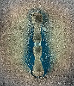 Force Prints: Magnetic Field