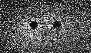 Force Prints: Magnetic Field, Magnetism