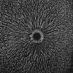 Force Prints: Magnetic Field, Magnetism