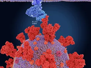 Pathogen Prints: Main mutation site of the South African COVID-19 variant