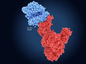 Pathogen Prints: Main mutation side of the South African COVID-19 variant