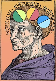 Prints of Head of Man showing 'ventricles' representing different brain functions, from Philosophia naturalis by Albertus Magnus, 1506 : Man With Brain Ventricles, Albertus, Medieval Art