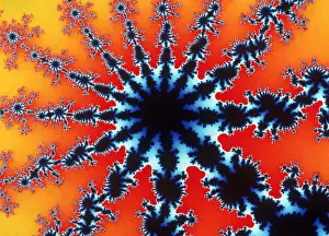 Math Prints: Mandelbrot Set