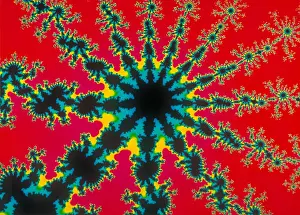 Research Prints: Mandelbrot set