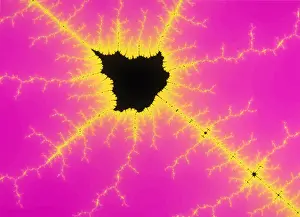 Math Prints: Mandelbrot Set