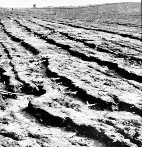Strong Prints: Manhandled Land, Dust Bowl, 1938