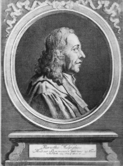 Theorist Prints: Marcello Malpighi, Italian Biologist and Inventor