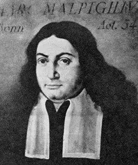 Marcello Malpighi, Italian Biologist and Inventor