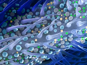 Mixed Science Images Prints: Marijuana Female Flower, scanning electron micrograph